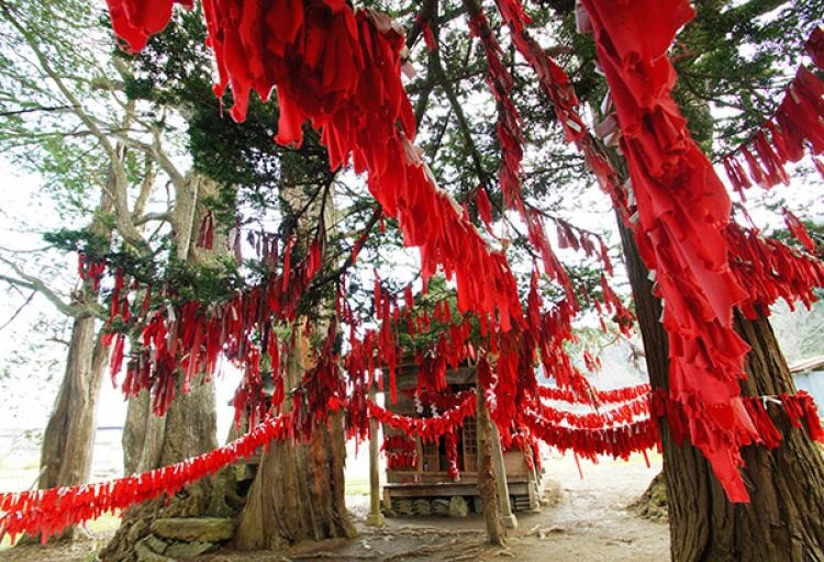 卯子酉神社(うねとりじんじゃ)